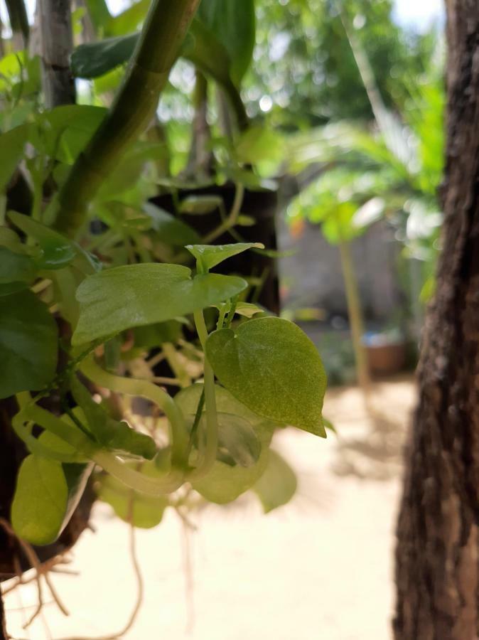 Connect Apartment Phan Thiet Luaran gambar