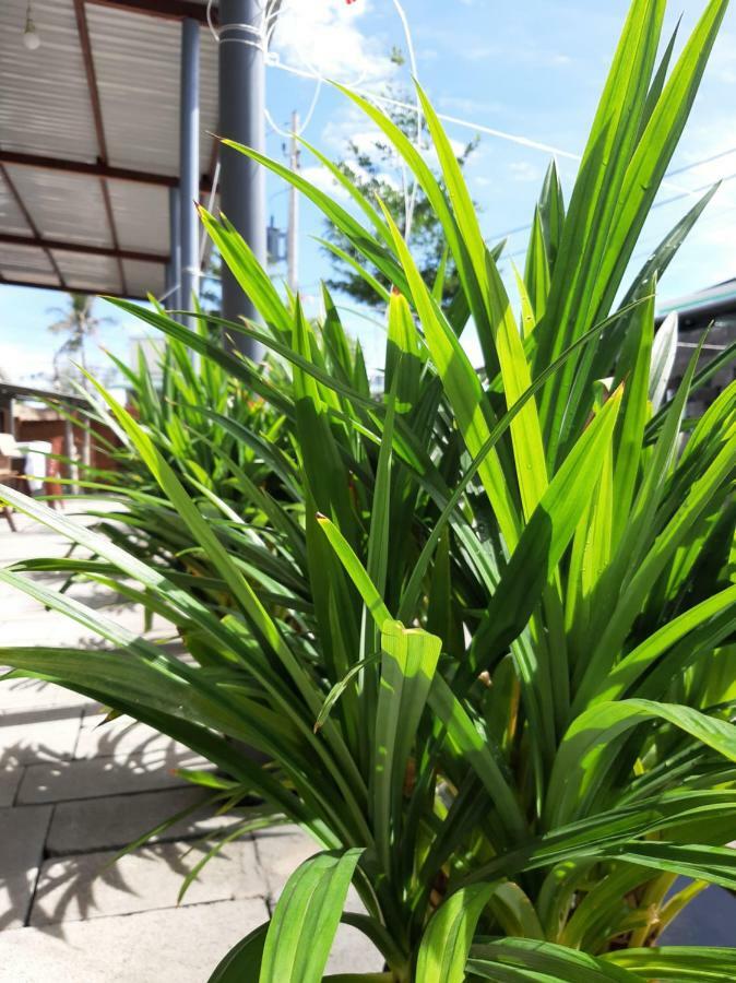 Connect Apartment Phan Thiet Luaran gambar
